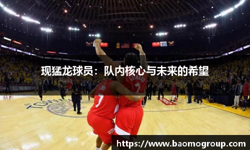 现猛龙球员：队内核心与未来的希望